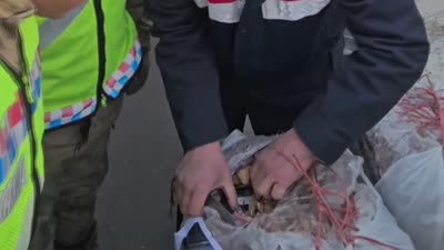 Kuru kayısı çuvallarında kaçak sigara ele geçirildi