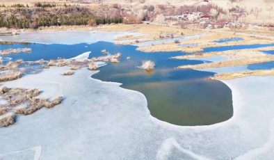 Bitlis’teki kuş cennetinde kış güzelliği: Yüzeyi buzla kaplandı