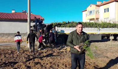 Mahalle muhtarından çevreye katkı, 40 bin çam fidanı ücretsiz dağıtıldı