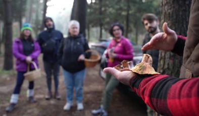 Doğanın armağanı mantarlarla dolu bir keşif yolculuğu
