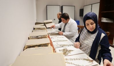 Mardin’de 400 bitki koruma altına alındı