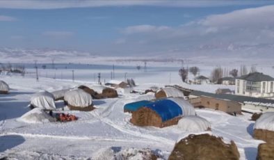 Muşlu ve Hakkarili besiciler, kızaklarla ot taşıyarak hayvanları için kışa meydan okuyor