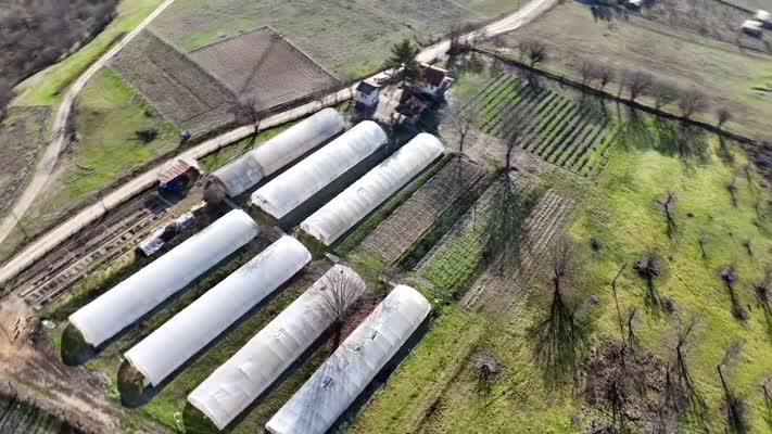 Safranbolu’da 109 bin yaz çiçeği tohumu toprakla buluştu