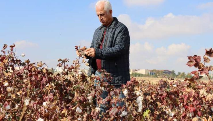 Şanlıurfa’da yenileyici tarımın yaygınlaştırılması hedefleniyor