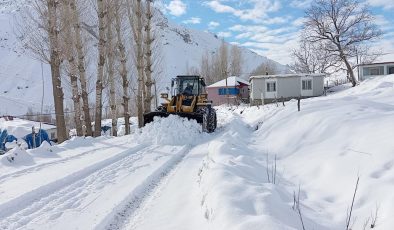 Siirt, Batman ve Şırnak’ta kar nedeniyle 77 yerleşim yerinin yolu kapandı