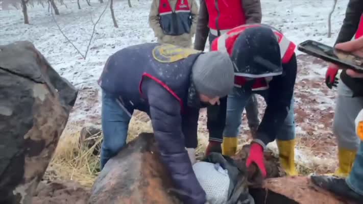 Şanlıurfa’da silah kaçakçılığı operasyonunda 1 tutuklama
