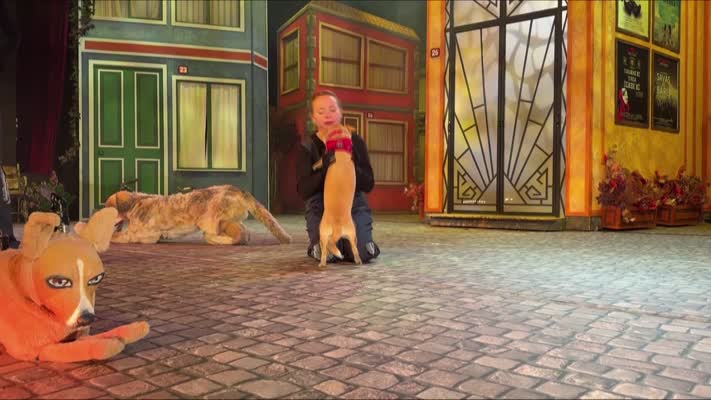 Sokaktan sahneye: Köpek “Şebo”nun hikayesi müzikale dönüştü