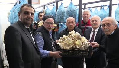 “Üretimin yaşı olmaz” diyen huzurevi sakinleri istiridye mantarı yetiştirdi