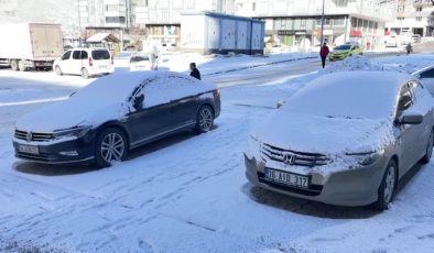 Van, Bitlis ve Muş’ta 293 yerleşim biriminin yolu kar nedeniyle kapandı