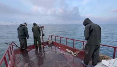 Van Gölü’nün mavi sularında üç kuşaktır süren balıkçılık mücadelesi