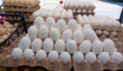 Yumurta Lüks Oldu: Diyarbakır’da fiyatlar cep yakıyor