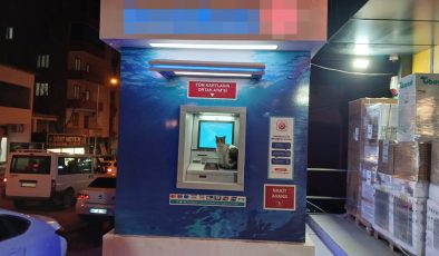 Bankamatiğin ilk misafiri kediler oldu