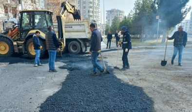 Eski Bağlar’da başlatılan ‘fen hamlesi’ devam ediyor