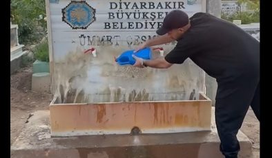 Suriye Uyruklu Fenomenin çabası takdir topladı