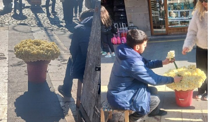 Diyarbakır’da nergis zamanı