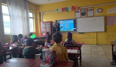 eTwinning başarısı: Kulp Atatürk İlkokulu’ndan örnek proje