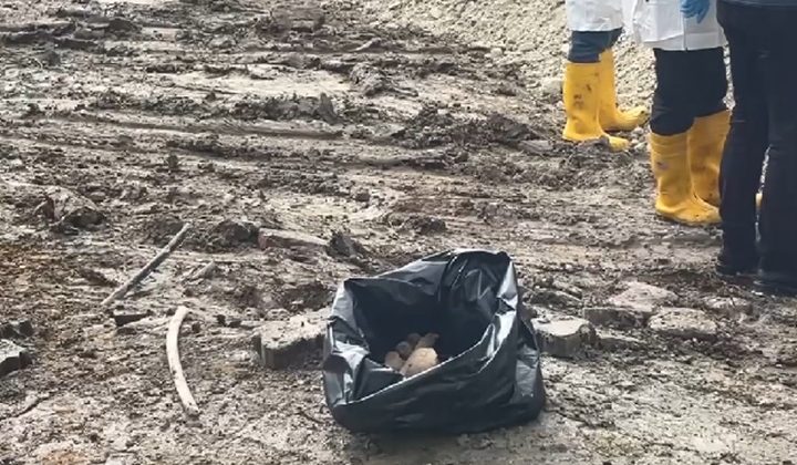 Kanalizasyon kazısında insan kemikleri bulundu
