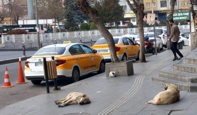 Soğuk Havada Isındıran Görüntü