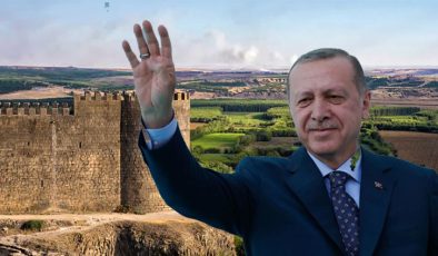 Diyarbakır’da Cumhurbaşkanı Erdoğan heyecanı