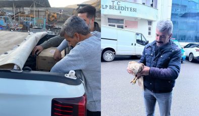 Kulp’ta yaralı yavru kartal kurtarıldı