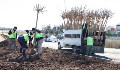 Diyarbakır’da parklar, kavşaklar yeşillenecek