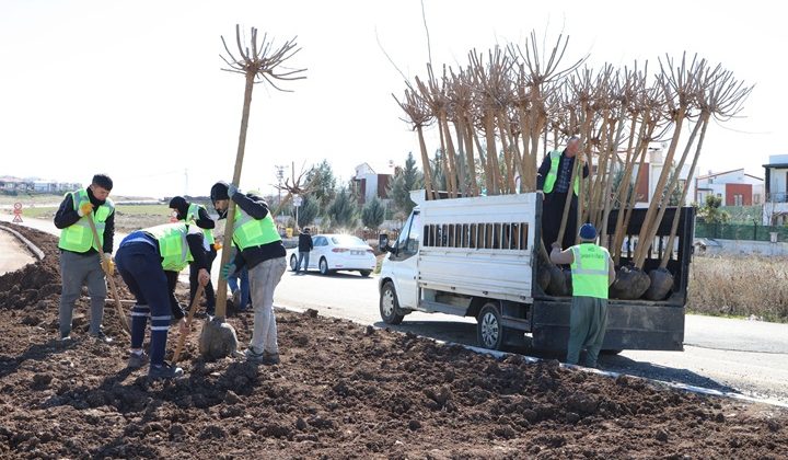 Diyarbakır’da parklar, kavşaklar yeşillenecek