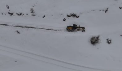 Bingöl’de kar ve tipi 77 köy yolunu ulaşıma kapattı