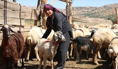 Adıyamanlı aile depremde telef olan hayvanlarına devlet desteğiyle tekrar kavuştu