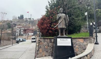 Ailesinden gelen hayvan sevgisi, yarım asırdır evinden sokağına taşıyor