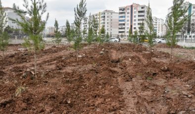 Bağlar’da yeşil kuşak projesiyle doğa yeniden canlanıyor