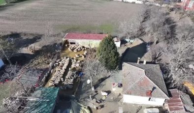 Devlet desteğiyle başladı, koyun sayısını 150’ye çıkardı