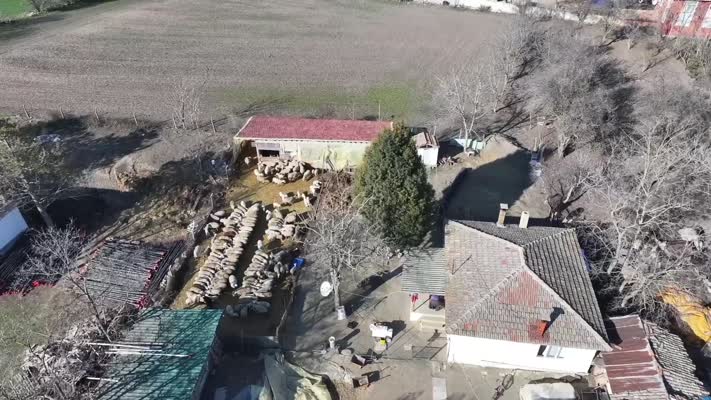 Devlet desteğiyle başladı, koyun sayısını 150’ye çıkardı