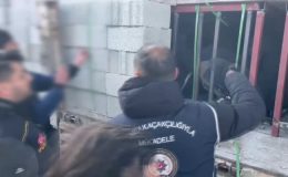 Bitlis’te briket yüklü tırda 31 düzensiz göçmen yakalandı