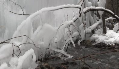 Borudan fışkıran su ağaçlarda buz sarkıtları oluşturdu