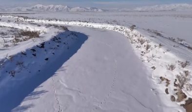 Çaldıran’da hava sıcaklığı -20’ye düştü, Çubuklu Çayı buz tuttu