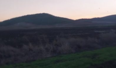 Çiftçiler, yaban domuzlarını uzak tutmak için gece nöbetinde