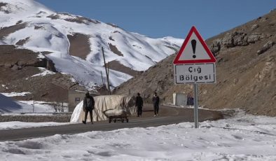 42 can kaybının yaşandığı yol, çığ tehlikesi nedeniyle kapalı