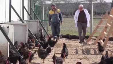 Dicle Üniversitesinden organik yumurta üretimini artıracak proje