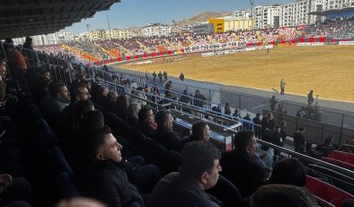 Diyarbakır eş başkanları Vanspor maçını tribünden izledi