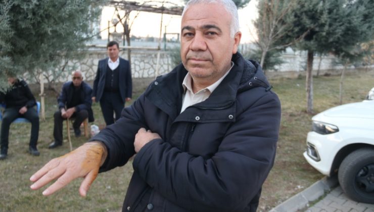 Diyarbakır’da sahipsiz köpeğin saldırısına uğrayan 3 kişi yaralandı