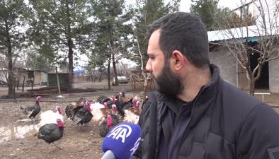 Diyarbakır’da kaybolan deve kuşu için seferberlik başladı
