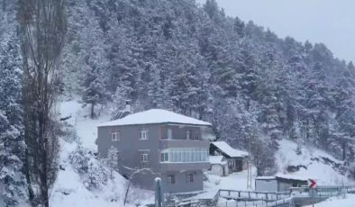 Dondurucu soğuk ve yoğun kar Erzurum’u etkisi altına aldı