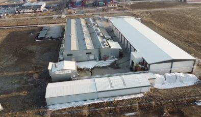 Erzincan’da çiftçiye alım garantisi, sofralara kaliteli bal