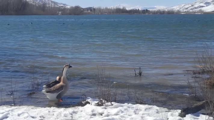 Gölbaşı Tabiat Parkı, kar yağışıyla büyüleyici bir güzelliğe büründü