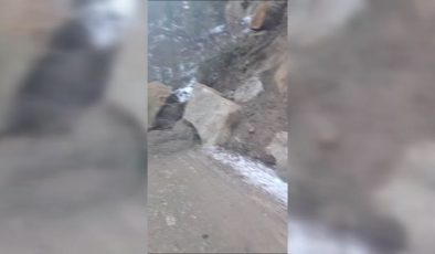 Ovacık’ta heyelan yolu kapattı