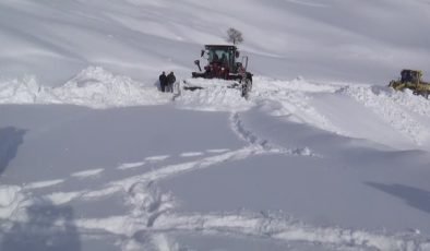 Van, Hakkari, Muş ve Bitlis’te 152 yerleşim yolu kapandı
