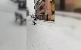 Karla kaplı sokakta Kayak keyfi kazayla bitti