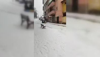 Karla kaplı sokakta Kayak keyfi kazayla bitti