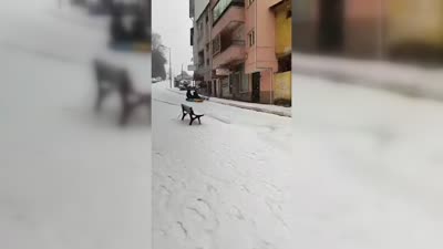 Karla kaplı sokakta Kayak keyfi kazayla bitti