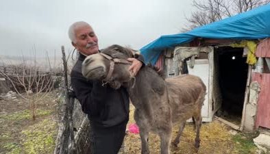 21 yıl önce Kırsala terk edilen eşek şimdi en yakın dostu